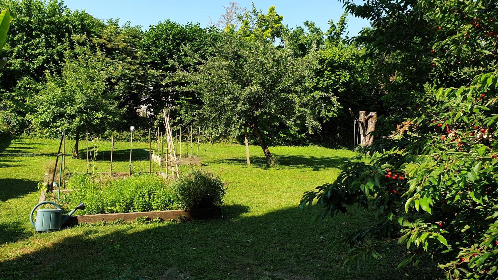 Gite 5 Personnes Fleurville Phòng bức ảnh